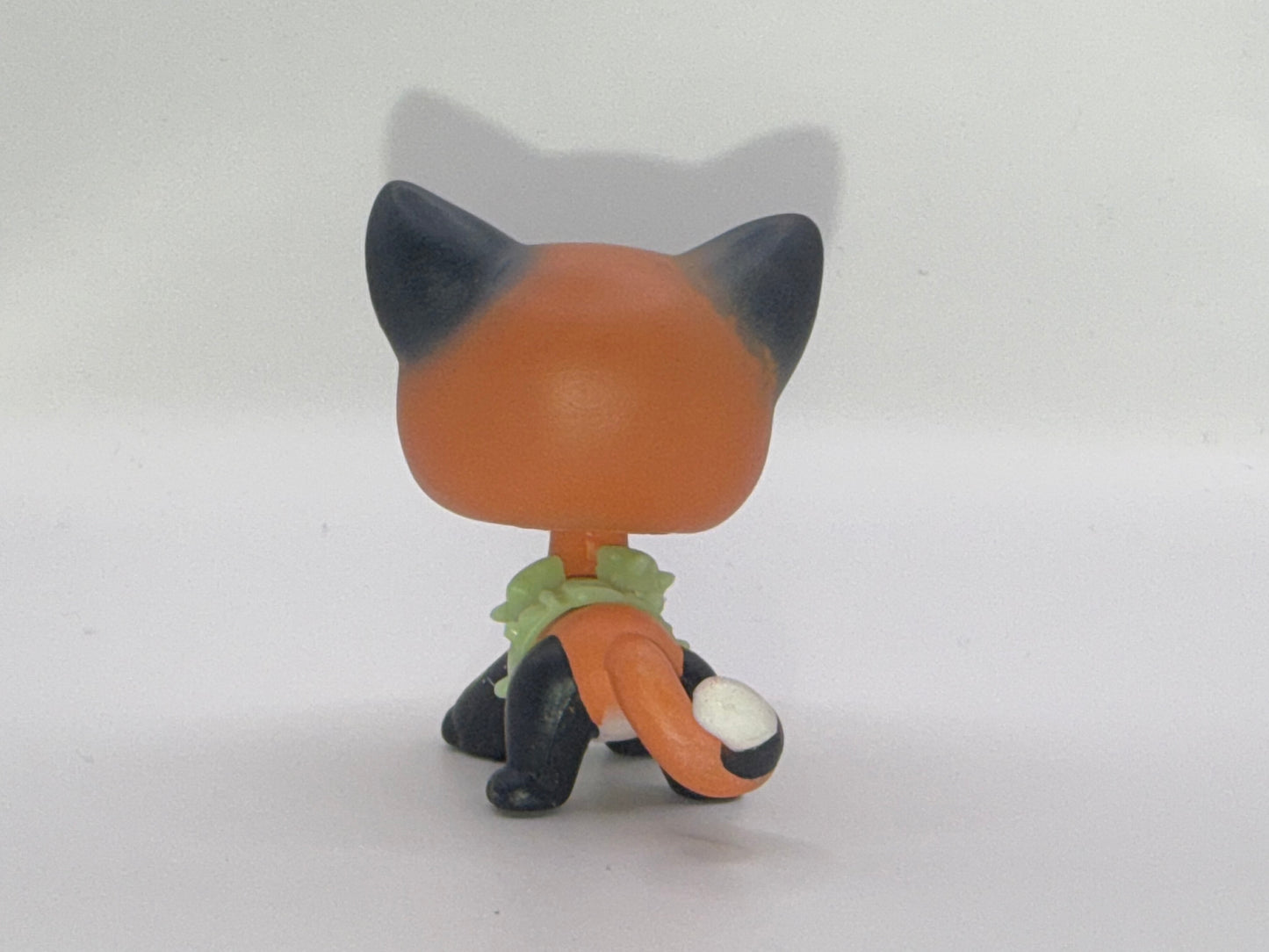 Lps shorthair custom