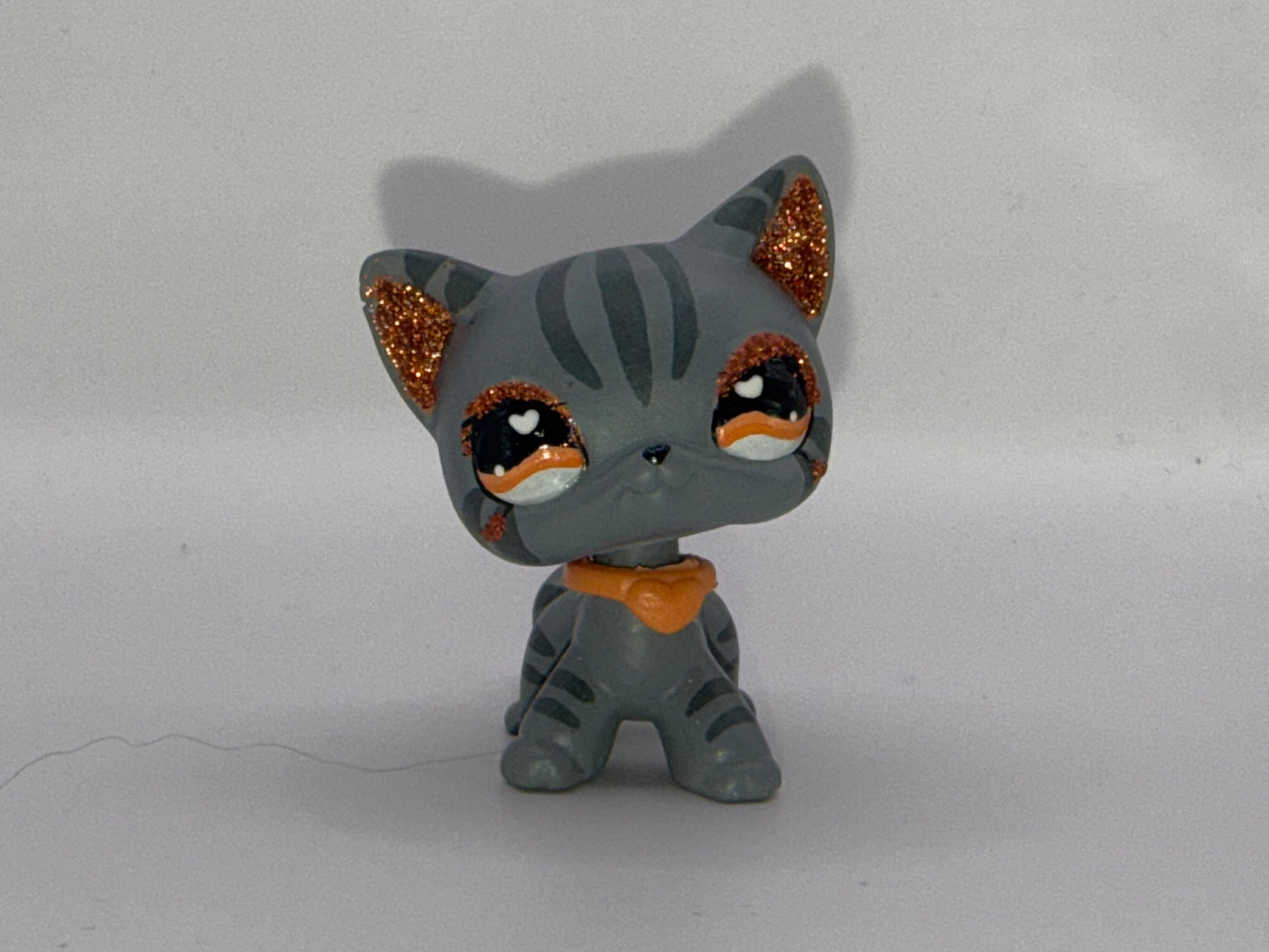 Lps shorthair custom