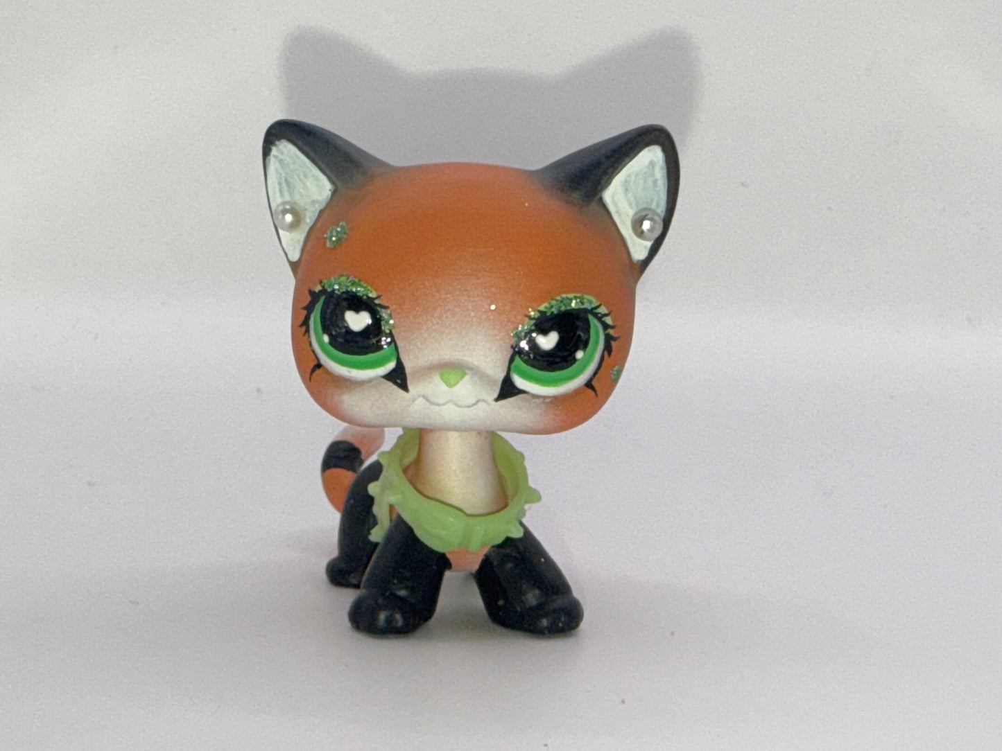 Lps shorthair custom