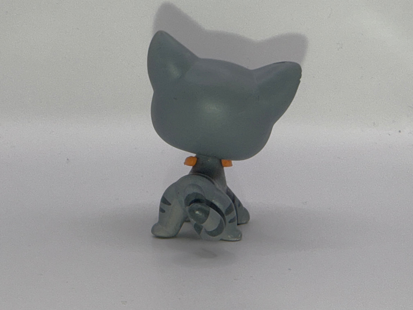 Lps shorthair custom