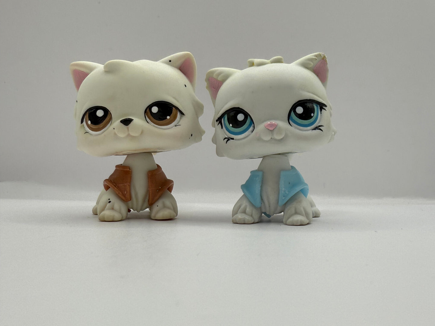 Lps customs