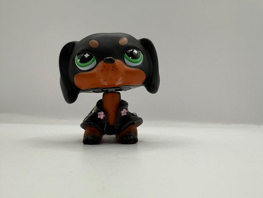 Lps custom